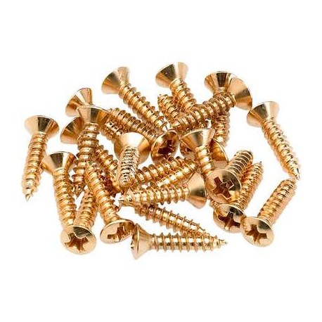 Pickguard/Control Plate Mounting Screws (24) (Gold) 0994924000