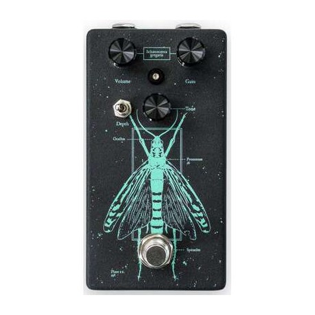 Locust discret distortion