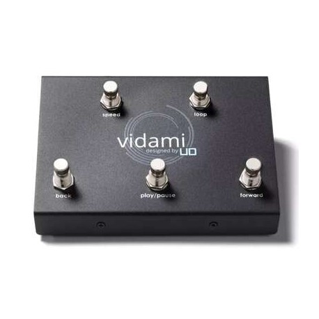 Vidami Hands Free Video Controller