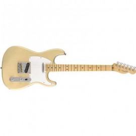 Limited Edition Whiteguard Stratocaster, Maple Fingerboard, Vintage Blonde  0176062707